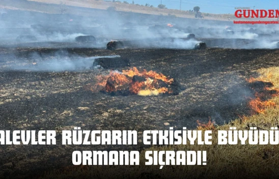 Alevler Rüzgarın Etkisiyle Büyüdü, Ormana Sıçradı!