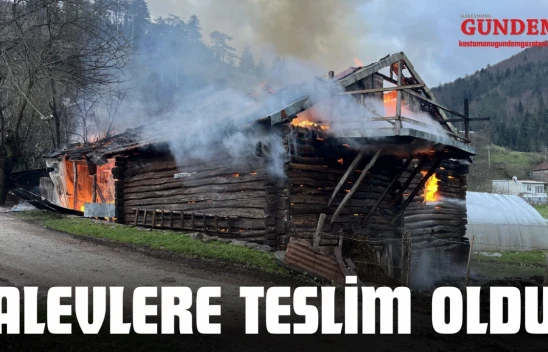 Alevlere Teslim Oldu