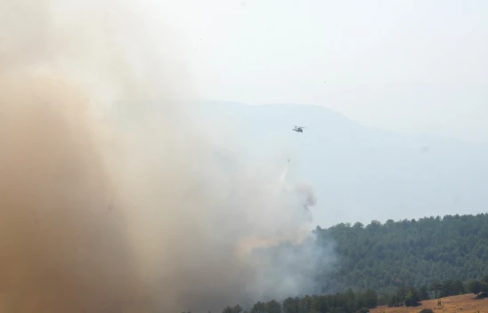 Alevlerin Kontrol Altına Alınması İçin Gönüllüler De Destek Veriyor