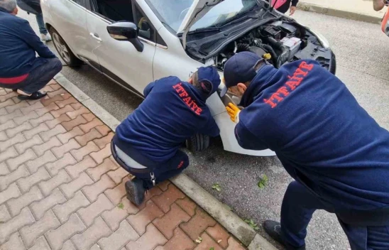 Araç Motoruna Giren Kedileri Kurtarmak İçin Seferber Oldular