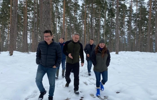 Araç'ta Orman Çalışmaları İncelendi