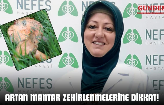 Artan Mantar Zehirlenmelerine Dikkat!