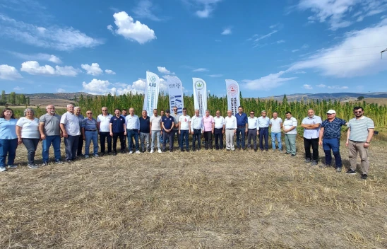 Ata Tohumlarıyla Ekilen Kenevirin Hasadı Başladı