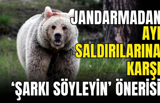 Ayı Saldırılarından Korunmak İçin 'Şarkı Söyleyin' Önerisi