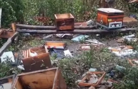 Ayılar Önlem Dinlemiyor