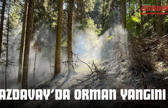 Azdavay'da Orman Yangını