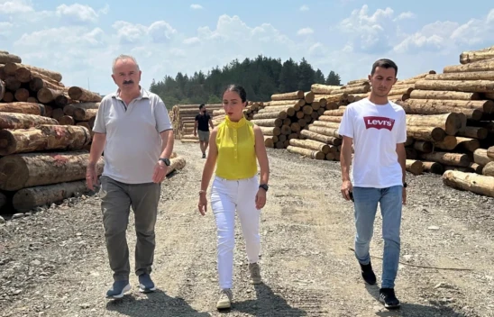 Azdavay Orman Deposu Denetlendi