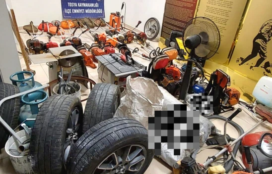 Bağ Evi Hırsızları Yakalandı