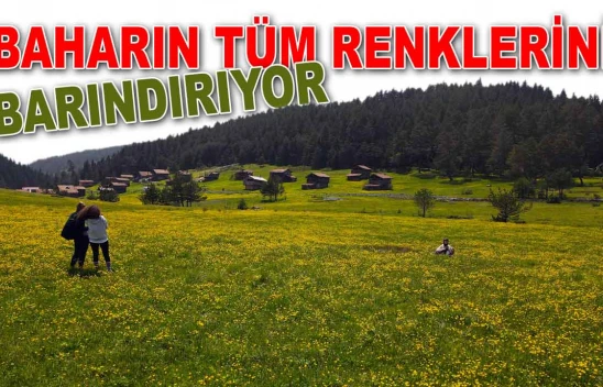Baharın Tüm Renklerini Barındırıyor