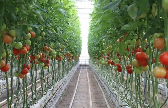 Bakan Yumaklı Duyurdu: Ekonomiye Katkı Sağlayacak