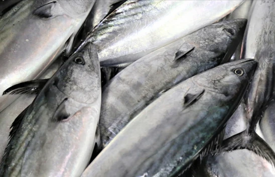 Balık Tüketiminin Yükselmesi Bekleniyor