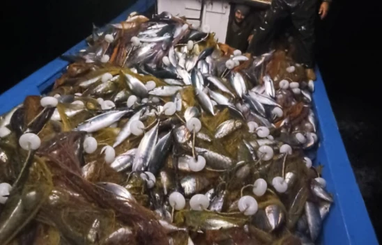 Balıkçılar Palamutla Döndü