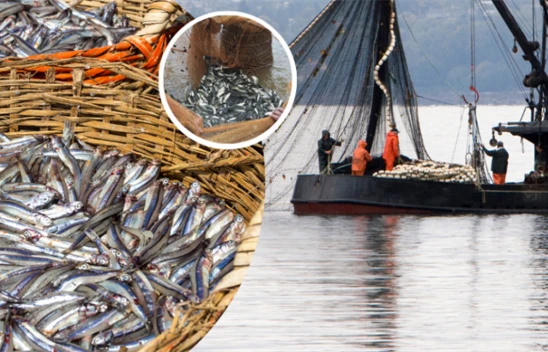 Balıkçılık Av Sezonu Kapanıyor