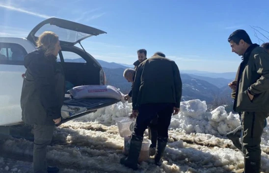Bartın'da Yaban Hayvanlara Destek Devam Ediyor
