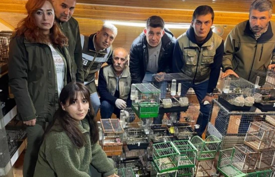 Bartın'da Yasadışı Üretimde Kullanılan Kuşlara El Konuldu