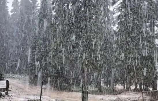 Bartın ve Zonguldak'ta Mevsimin İlk Kar Yağışı Başladı