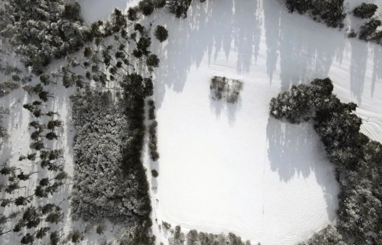 Beyaz Örtüyle Kaplanan Ormanlar Görüntülendi