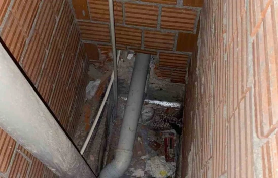 Martı Bina Boşluğunda Mahsur Kaldı