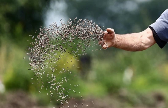 Bitki Çeşitlerine İlişkin Esaslar Belirlendi