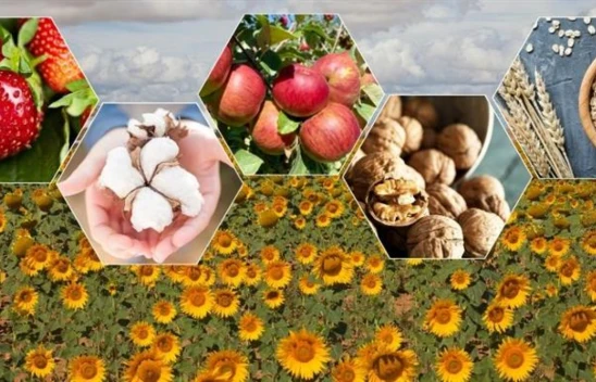 Bitkisel Üretim Bir Önceki Yıla Göre Arttı