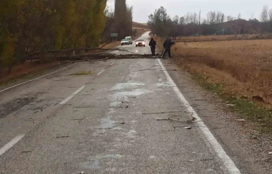 Çorum Boğazkale'de Şiddetli Rüzgar Ağaçları Devirdi