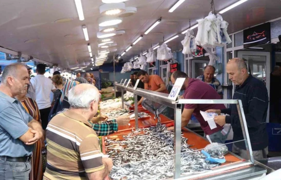 Hamsinin Fiyatı Düştü