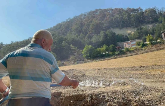 Orman Yangını Kontrol Altına Alındı