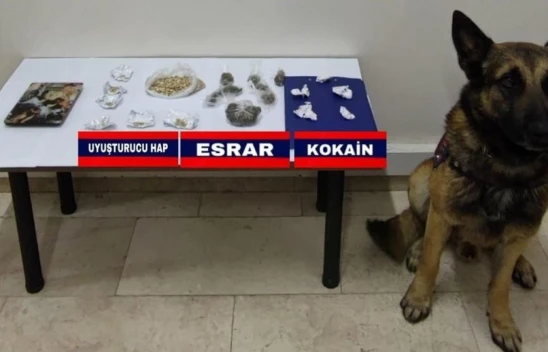 Bolu'da Uyuşturucu Operasyonu