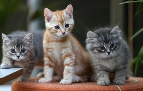 Bu 3 Burçla Harika Anlaşıyorlar!