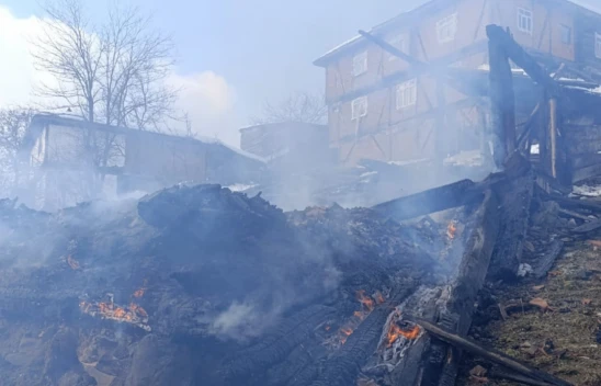 Yangın Faciası: 2 Ev, 1 Samanlık, 1 Traktör Kül Oldu!
