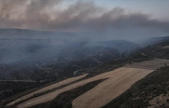 Çanakkale'nin Gelibolu İlçesindeki Orman Yangını Kontrol Altına Alındı