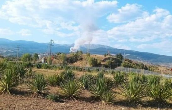 Çankırı'da Orman Yangını