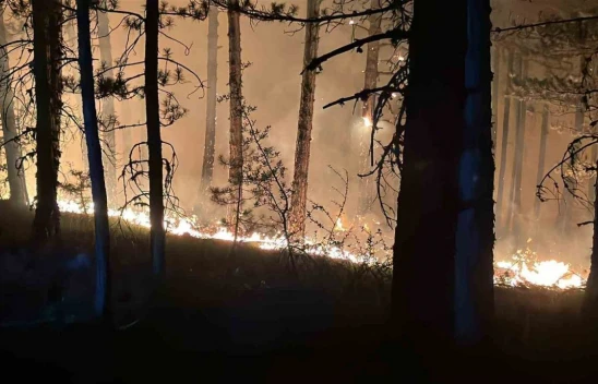 Çankırı'daki Orman Yangınına 4 Saattir Müdahale Sürüyor