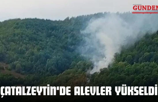 Çatalzeytin'de Alevler Yükseldi