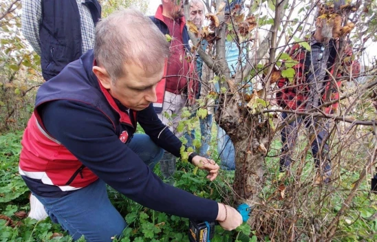 Çatalzeytin'de Çiftçi Eğitimleri Çağlar Köyü'nde Sürdü