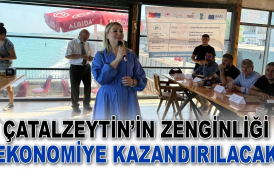 Çatalzeytin'in Zenginliği Ekonomiye Kazandırılacak