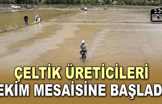 Çeltik Üreticileri Ekim Mesaisine Başladı