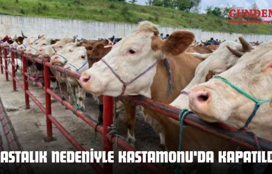 Çevre İllerdeki Hastalık Nedeniyle Kastamonu'da Kapatıldı!