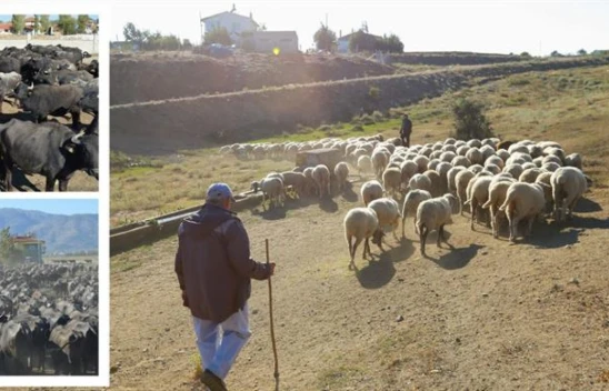 Çiftçilere 445 Milyon Lira Destek Verildi