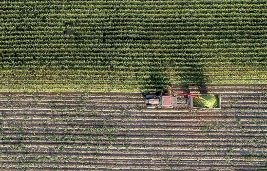 Çiftçilere Destek Ödemesi Bugün Yapılacak