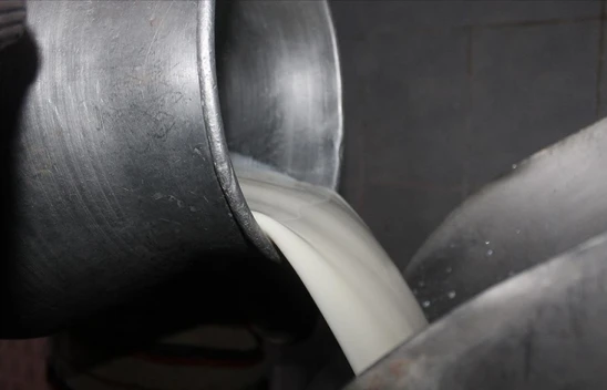 Çiğ Süt Tavsiye Fiyatı 22,22 Lira Olarak Belirlendi