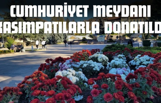 Cumhuriyet Meydanı Kasımpatılarla Donatıldı