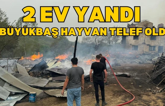 Daday'da 2 Ev Yandı, 4 Büyükbaş Hayvan Telef Oldu