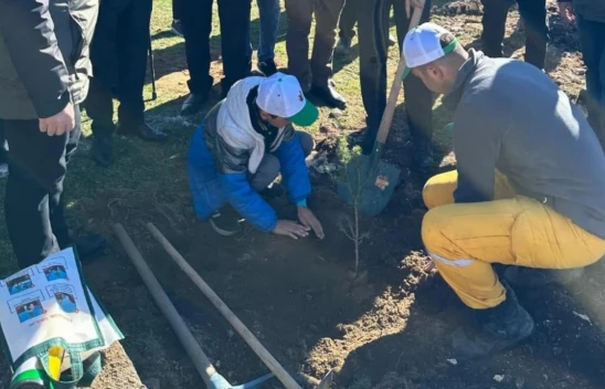 Daday'da Fidanlar Toprakla Buluştu