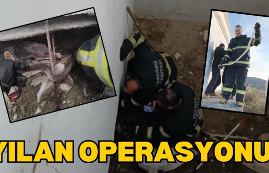 Depoya Giren Yılanı İtfaiye Yakaladı!