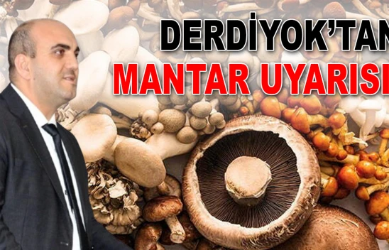 Derdiyok'tan Mantar Uyarısı!