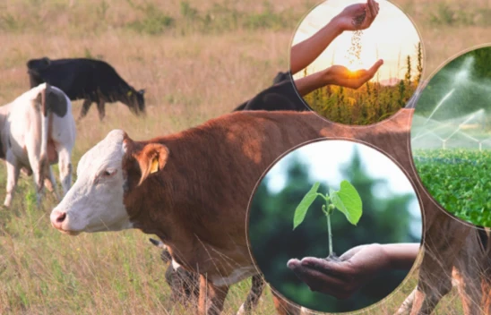 Destek Ödemeleri Aktarıldı