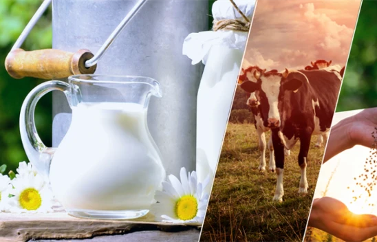 Destek Ödemeleri Hesaplara Aktarıldı