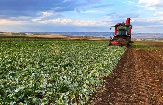 Destekleme Ödemeleri Hesaplara Aktarıldı