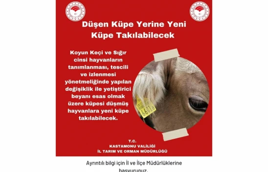 Düşen Küpe Yerine Yenisi Takılabilecek
